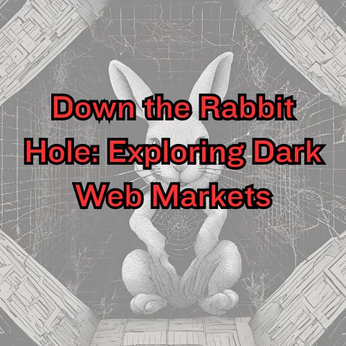 Down the Rabbit Hole: Exploring Dark Web Markets